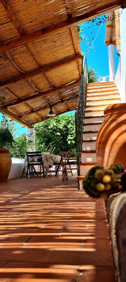 Villa Chiara - Bed and Breakfast Folcata