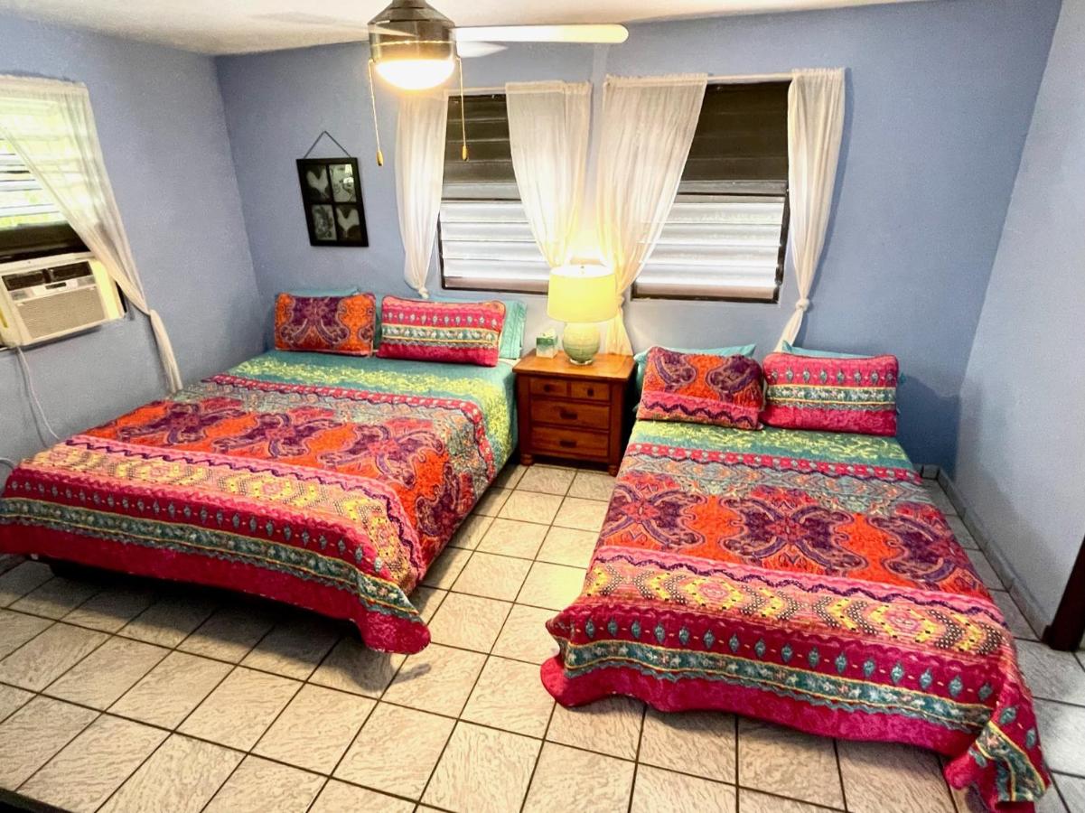 Appartement avec Balcon