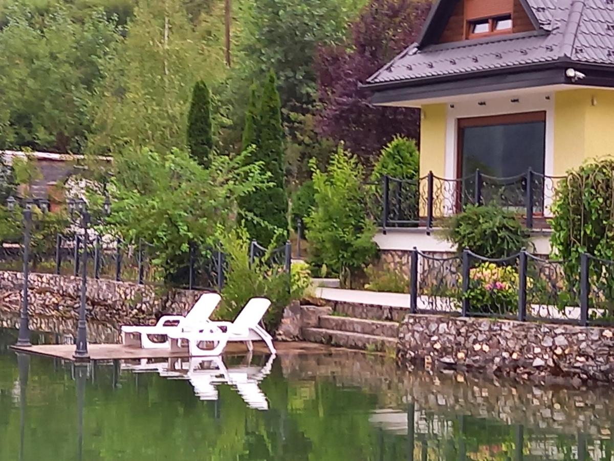 Villa Drinski biser sa bazenom - B&B