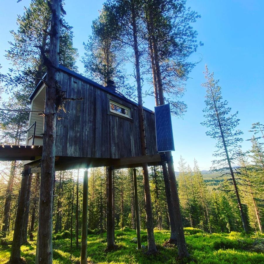 Swedish Treehouse - B&B Lauker