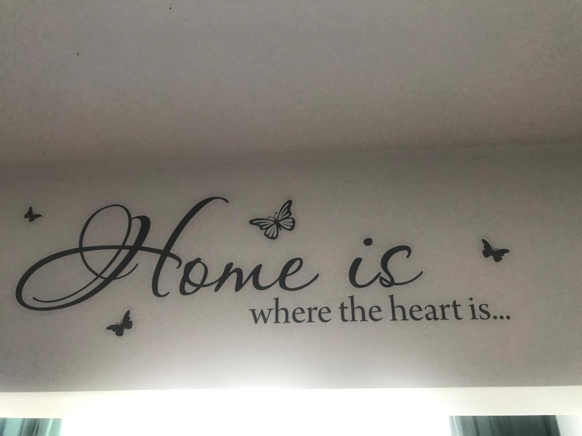 family studio cluj-napoca - B&B Cluj-Napoca