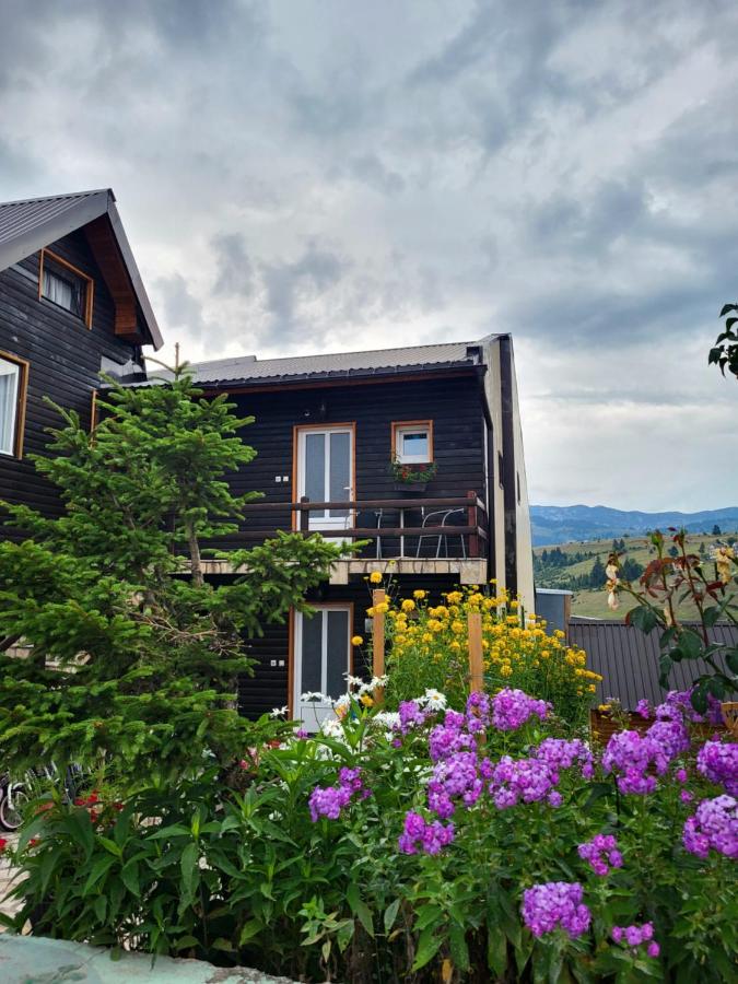 Apartments center Zorić - B&B