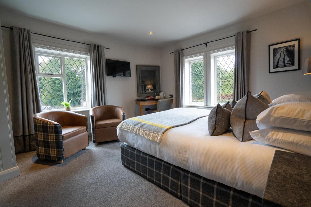 King Room (No pets allowed)
