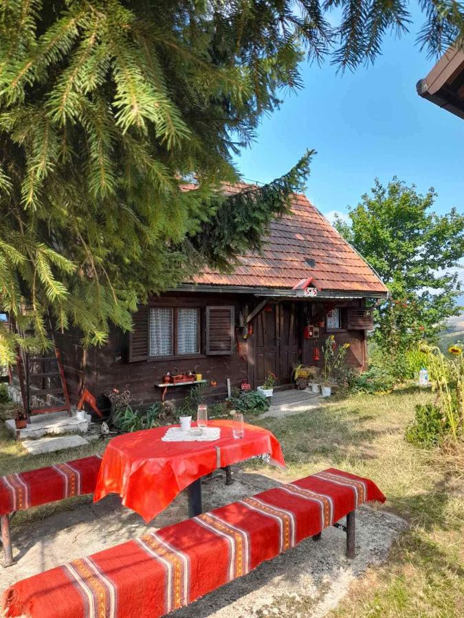 B&B Zlatibor - Kućica za odmor-Borova glava - Bed and Breakfast Zlatibor