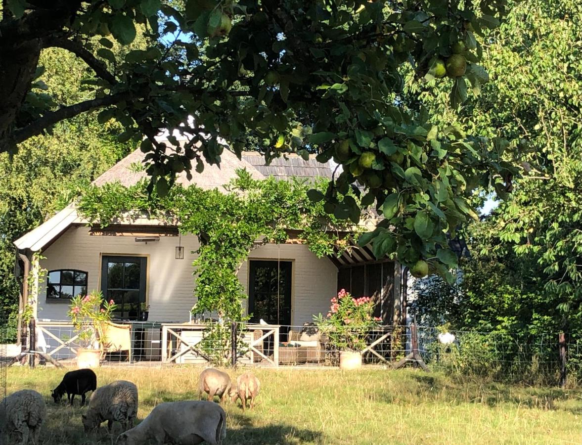 Het Buitengebied - B&B