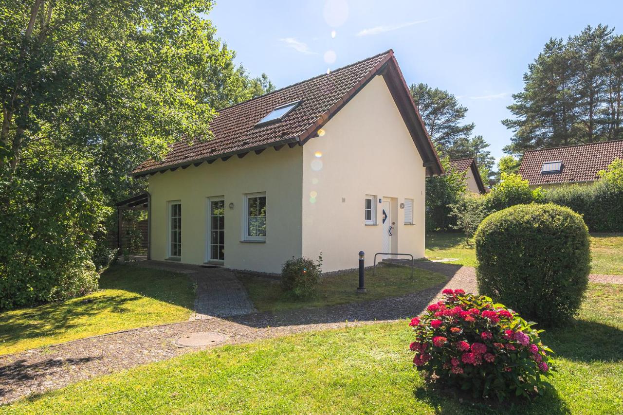 B&B Fünfhausen - Ferienhaus Zander im Ferienpark Lenzer Höh - Bed and Breakfast Fünfhausen