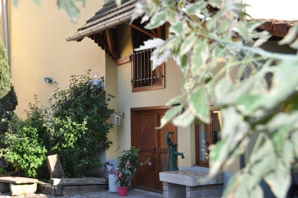 Strasbourg dans maison individuelle au calme - B&B Schiltigheim