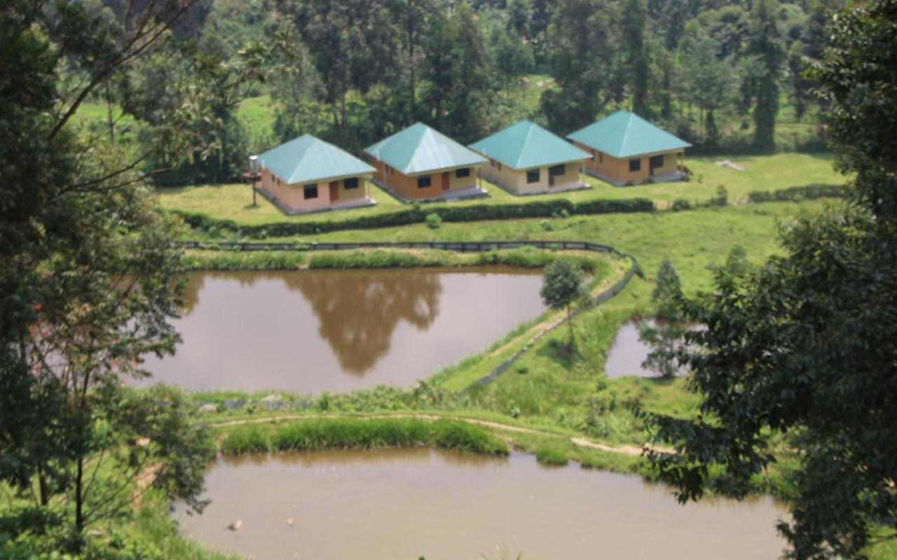 B&B Kasese - Snow Valley Cottages - Bed and Breakfast Kasese