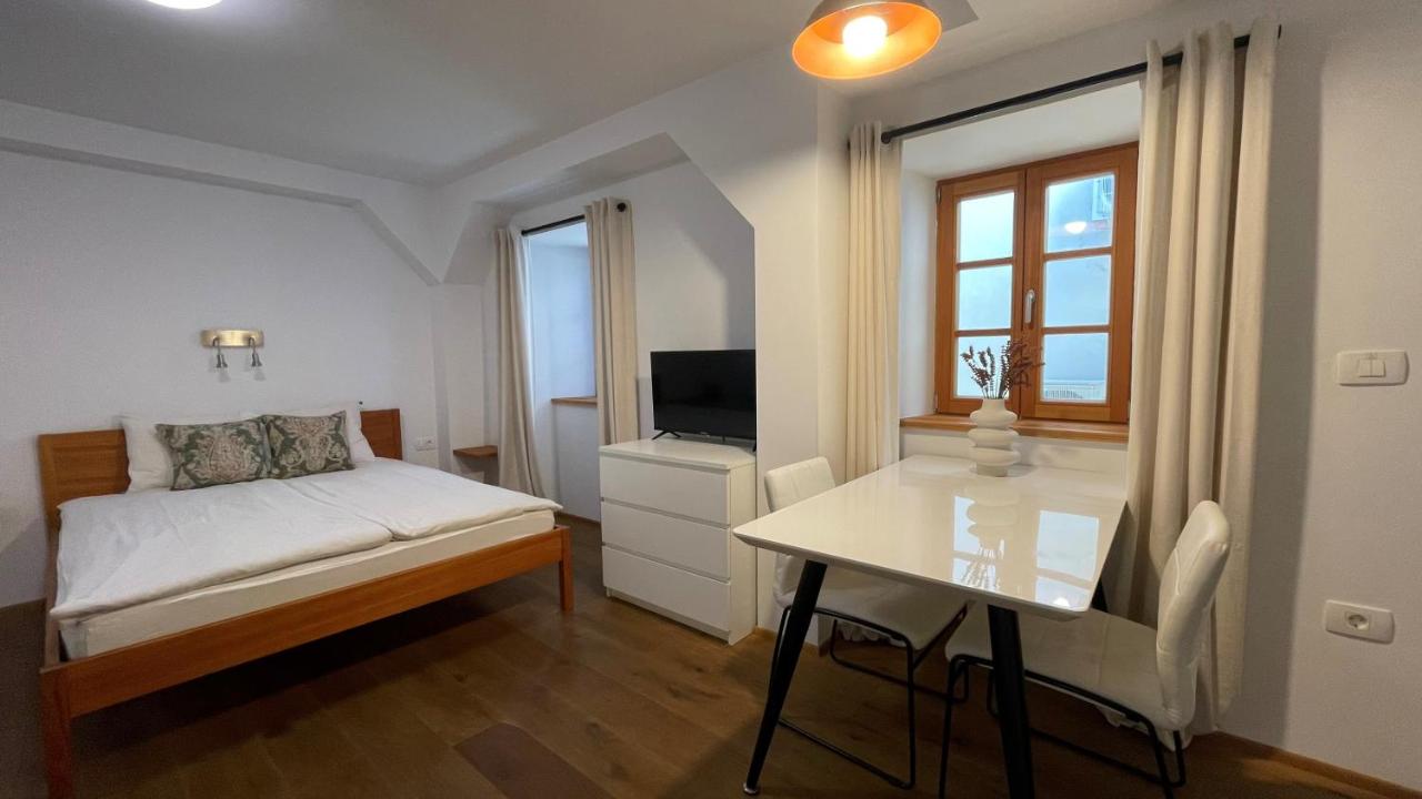 Studio with Sofa Bed