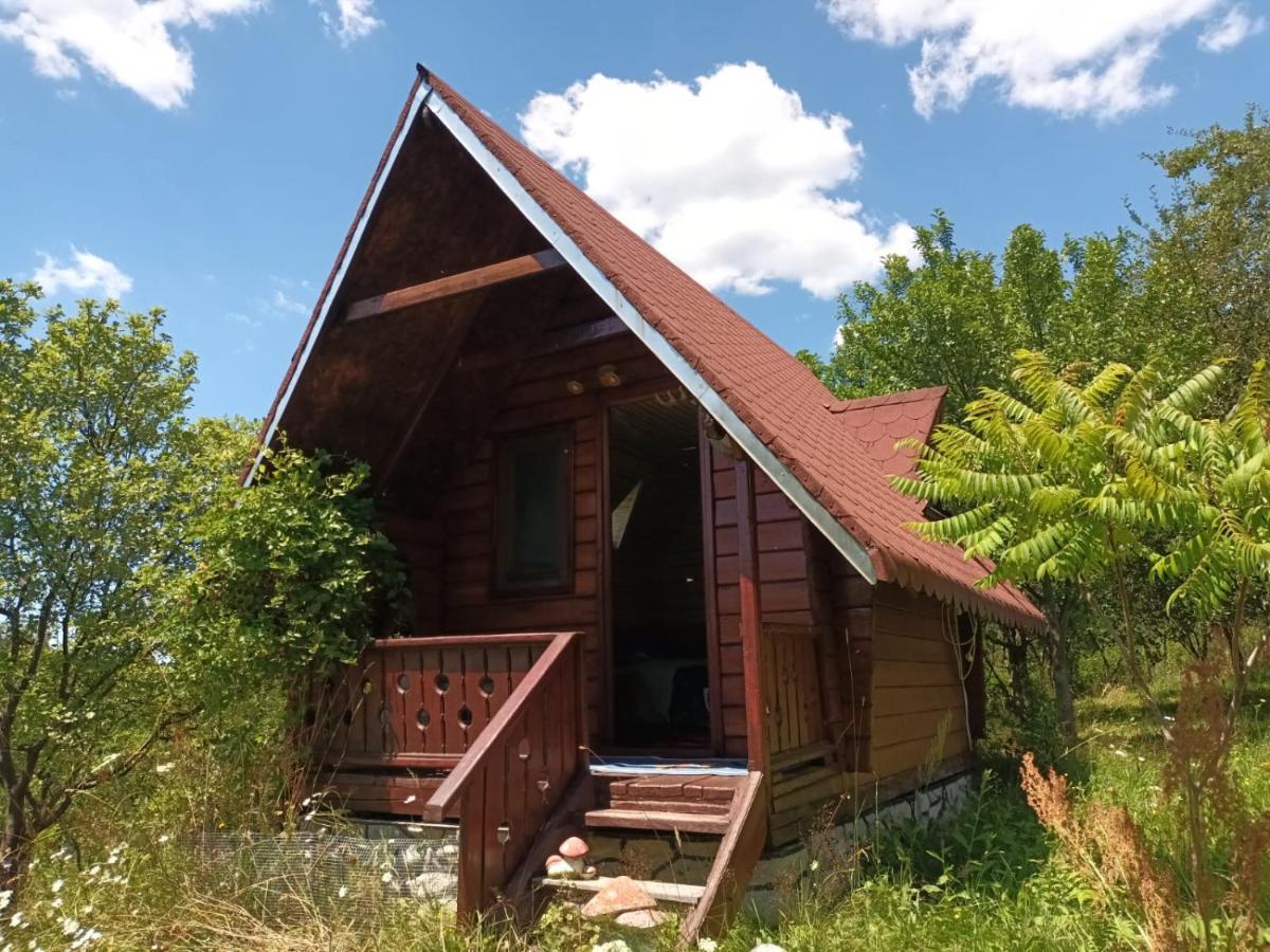 Căbănuță cu teren de tenis - B&B