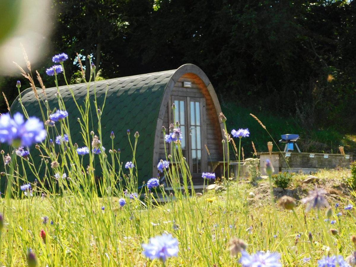 B&B Omagh - Cosy Pod-Cabin near beautiful landscape in Omagh - Bed and Breakfast Omagh