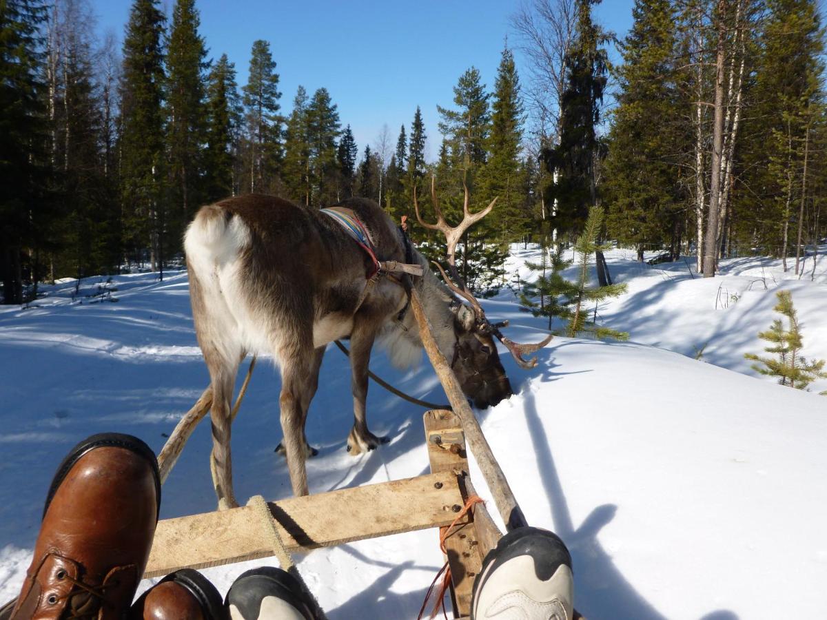 Apartamento de 1 dormitorio con sauna
