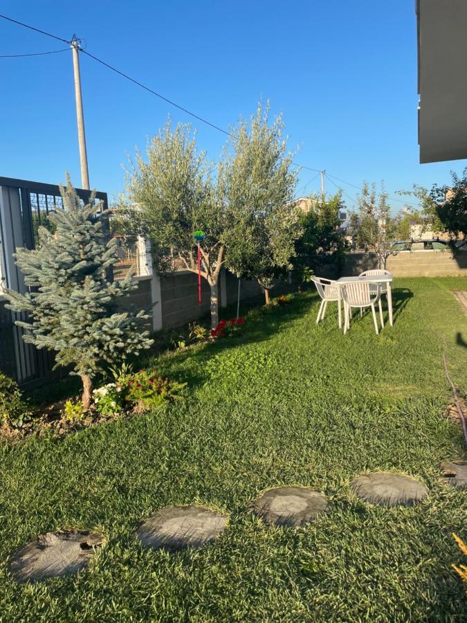 The quiet place - B&B Hamallaj
