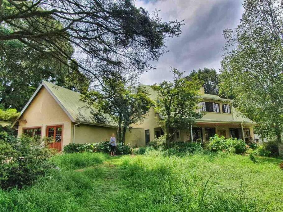 Silver Birch Studio - B&B