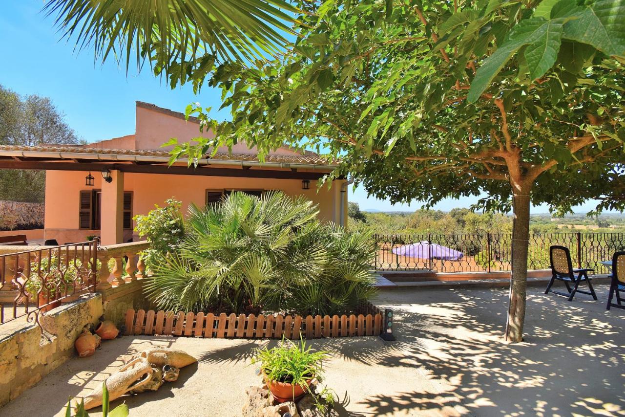 147 Finca Terra Nostra ETV6544 by Mallorca Charme - B&B
