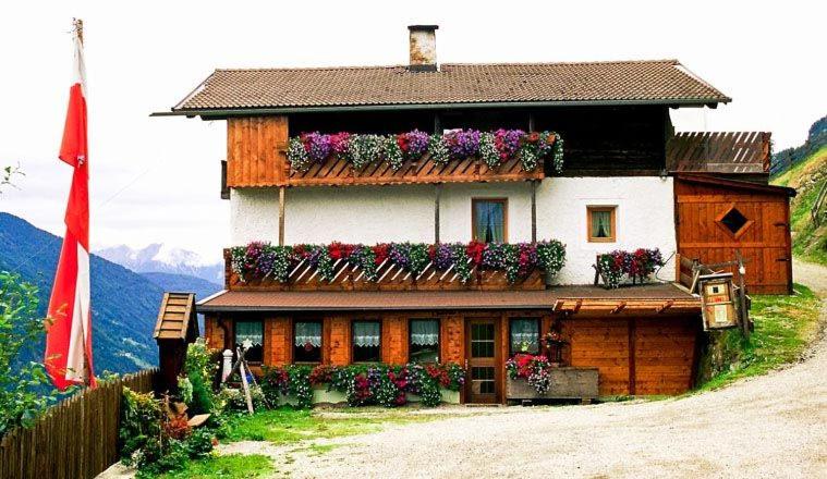 Ferienwohnung Oberpursteinhof - Ferienwohnung