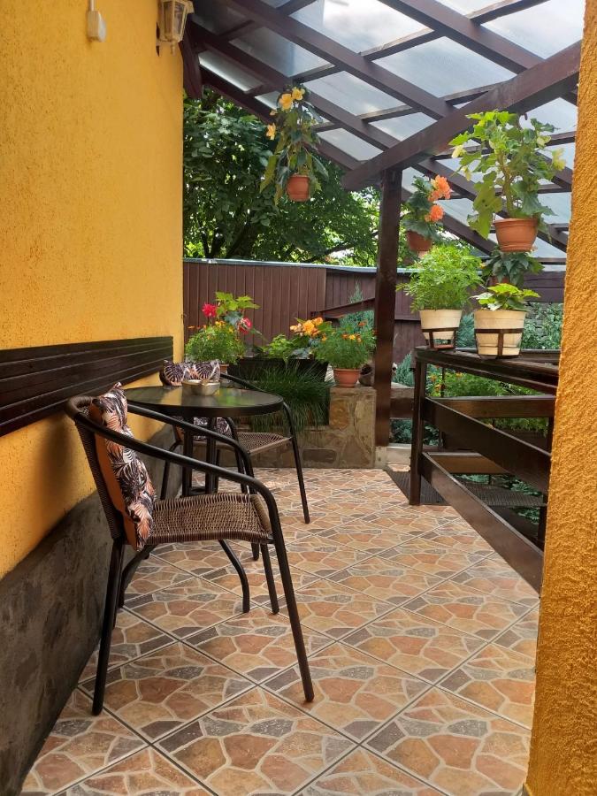 Shelby Accommodation -Adult Only- - B&B Sinaia