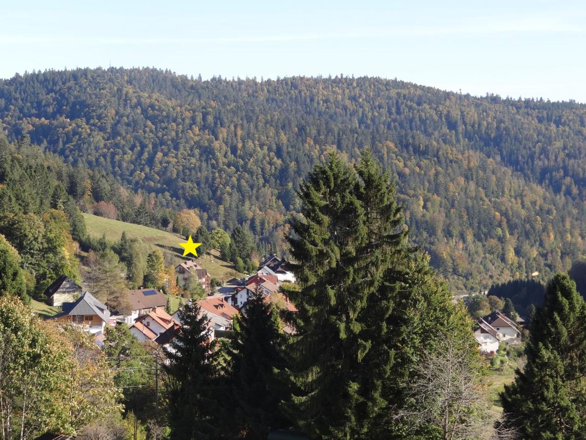 Apartments Amalia - mit WLAN und Sky in traumhafter Lage - Chambres d’hôtes Todtmoos