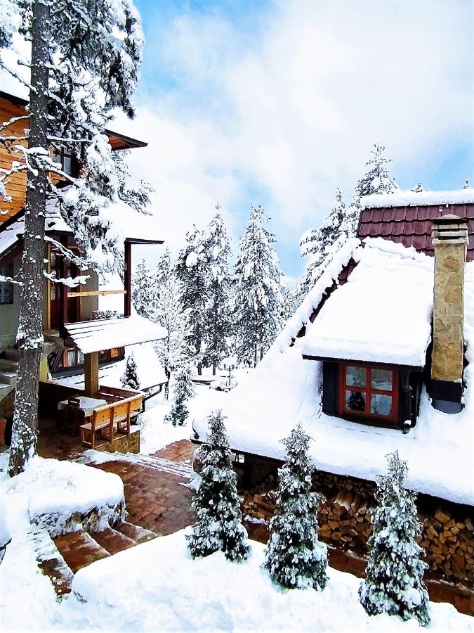 SVETLA U PLANINI - B&B Bajina Bašta