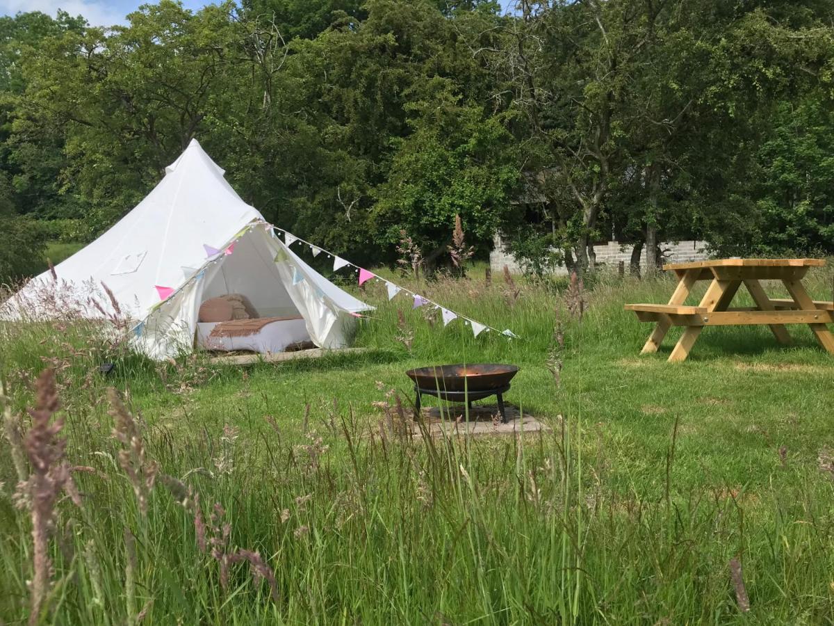 B&B Knighton - Panpwnton Farm Bell Tents - Bed and Breakfast Knighton