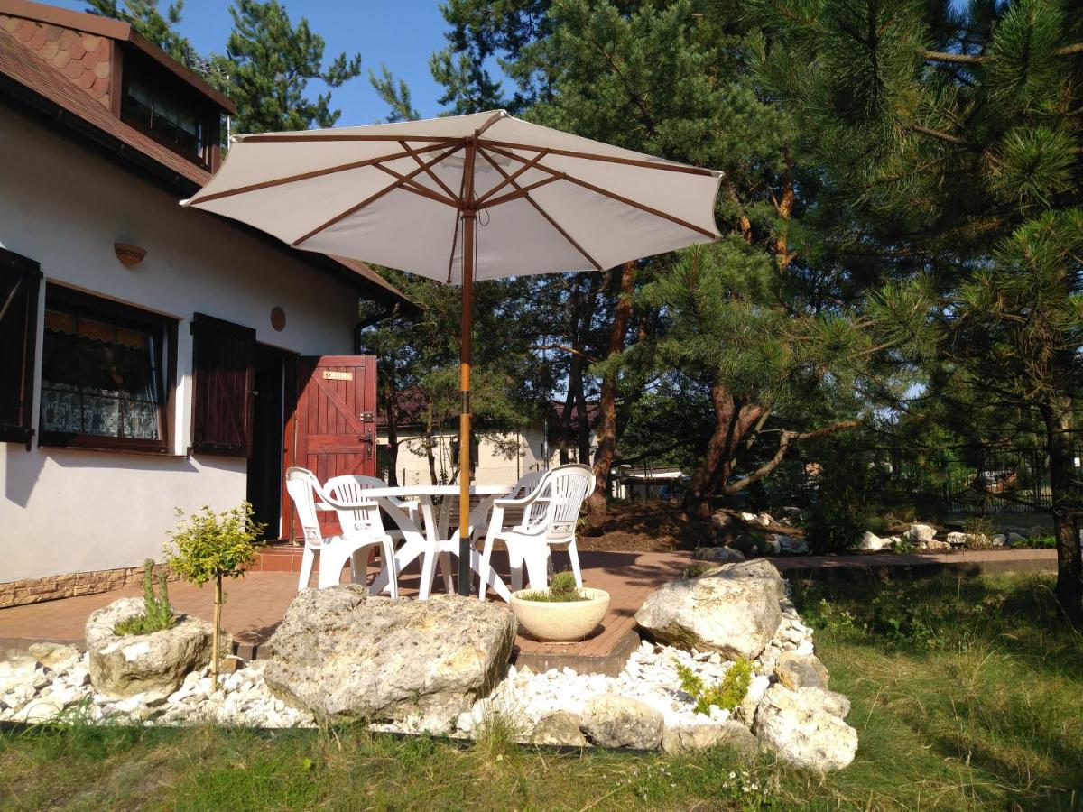 B&B Olsztyn - Domek letniskowy - Bed and Breakfast Olsztyn