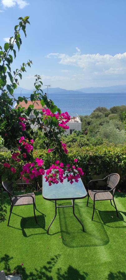 B&B Volos - Seaside Boutique Villa - Bed and Breakfast Volos