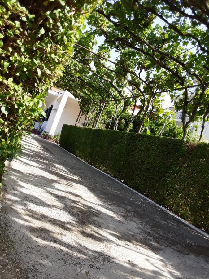 House 28 - B&B
