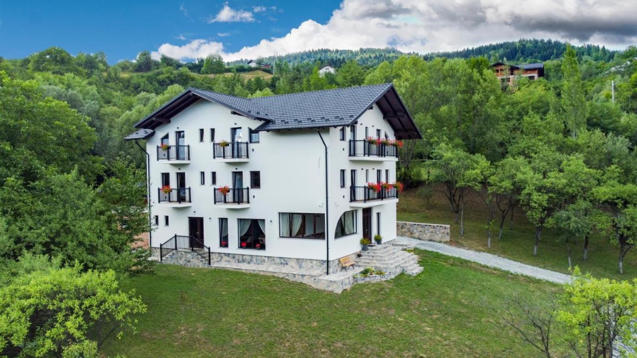 Liniștea Codrului - B&B