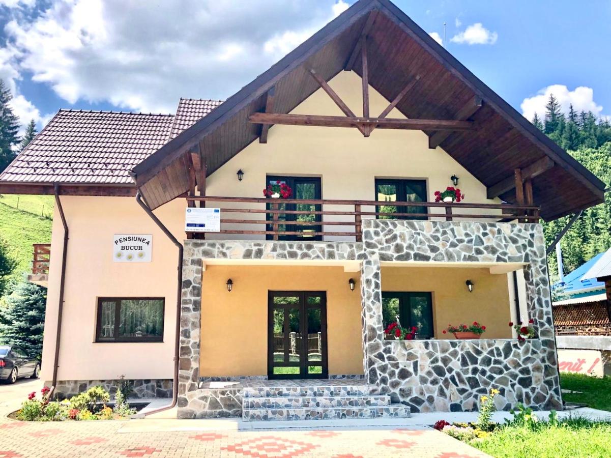 Pensiunea Bucur - B&B Dămuc