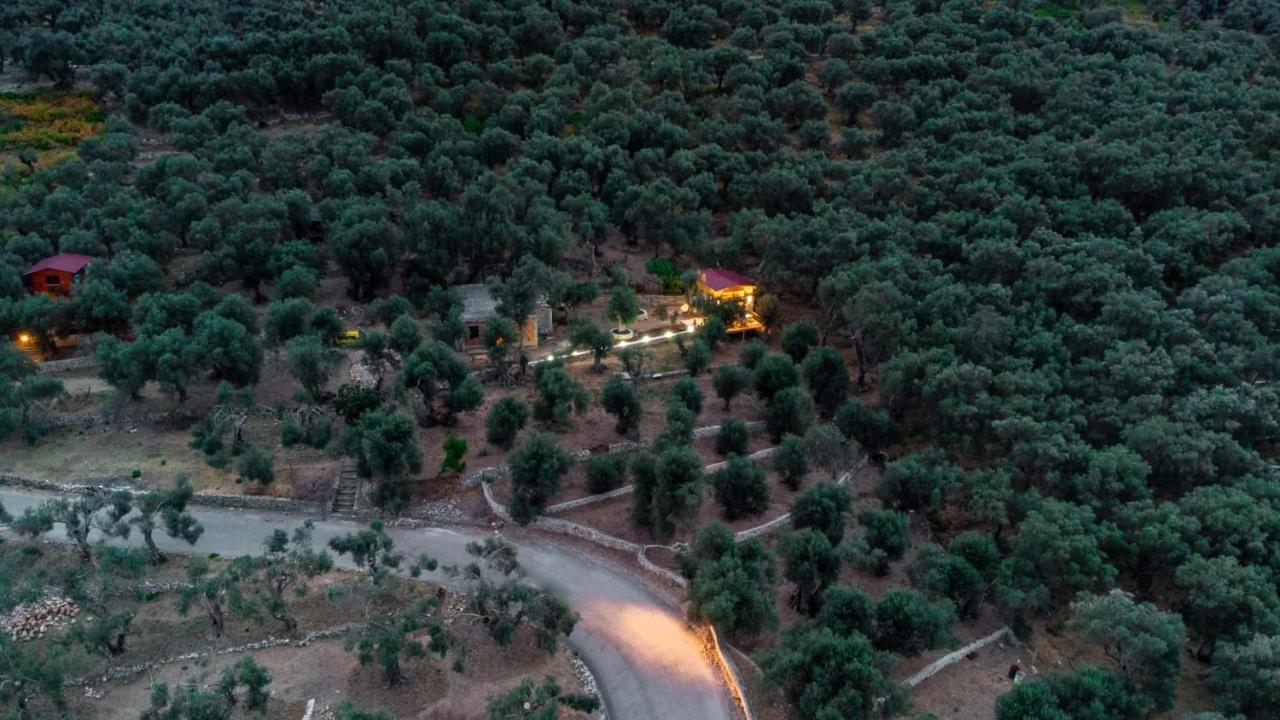 Olive Treasure - B&B Ulcinj