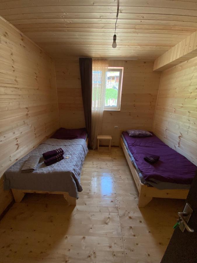 Camera Doppia con Letti Singoli con Vista Montagna