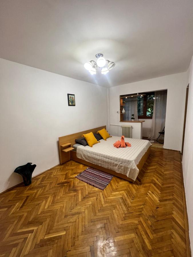 B&B Arad - Miha modern and central apartament Malul Mureșului - Bed and Breakfast Arad