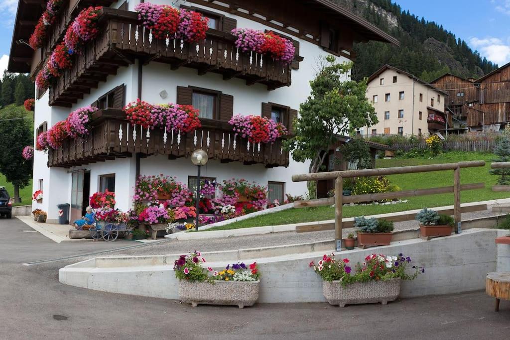 Piccola Suite sul Civetta - Bed and Breakfast