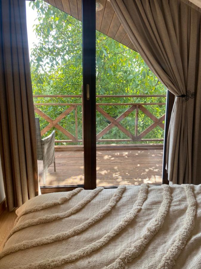 Appartamento con Vista Lago