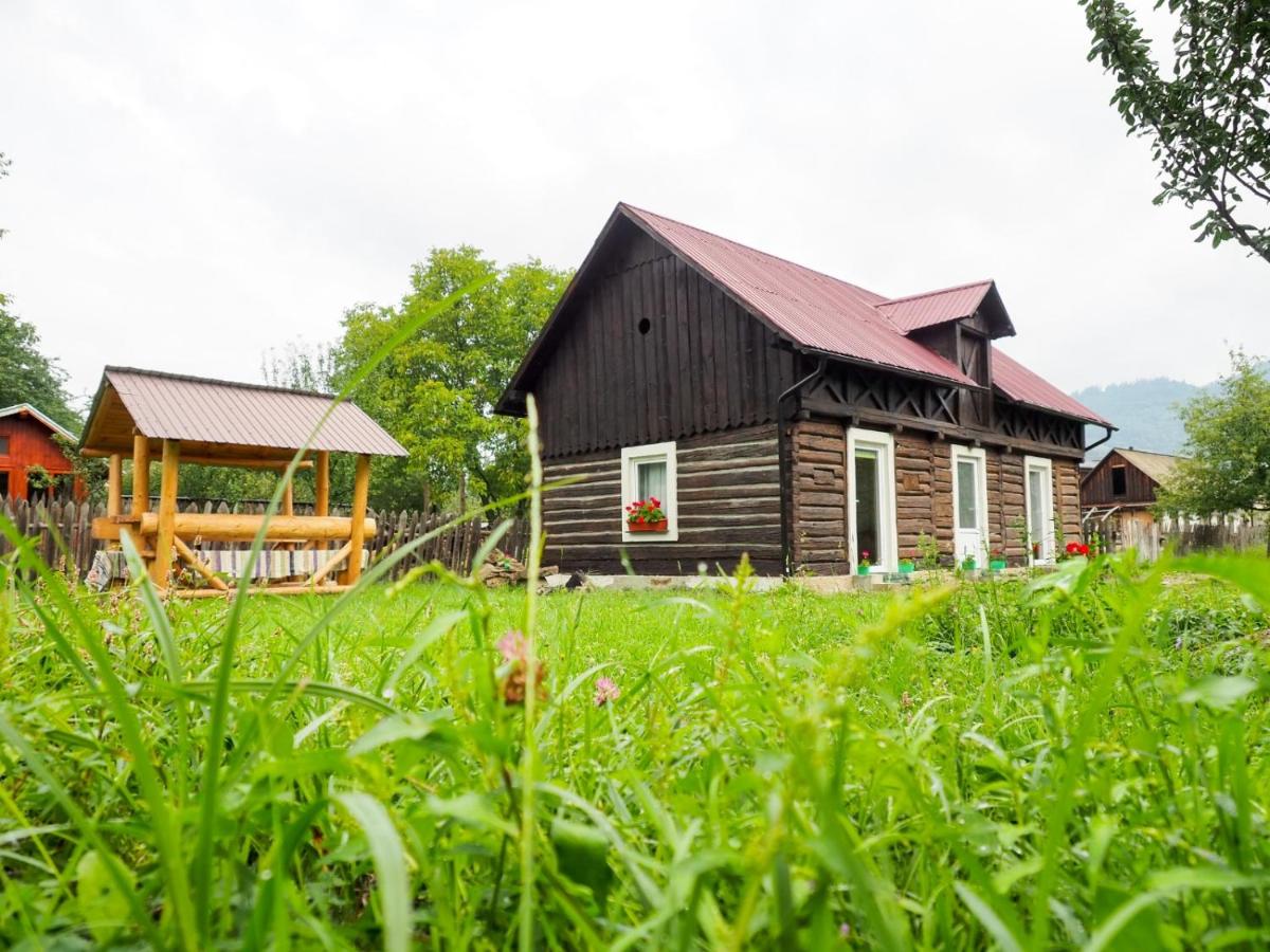 B&B Câmpulung Moldovenesc - Wild-Traditional Bucovina - Bed and Breakfast Câmpulung Moldovenesc