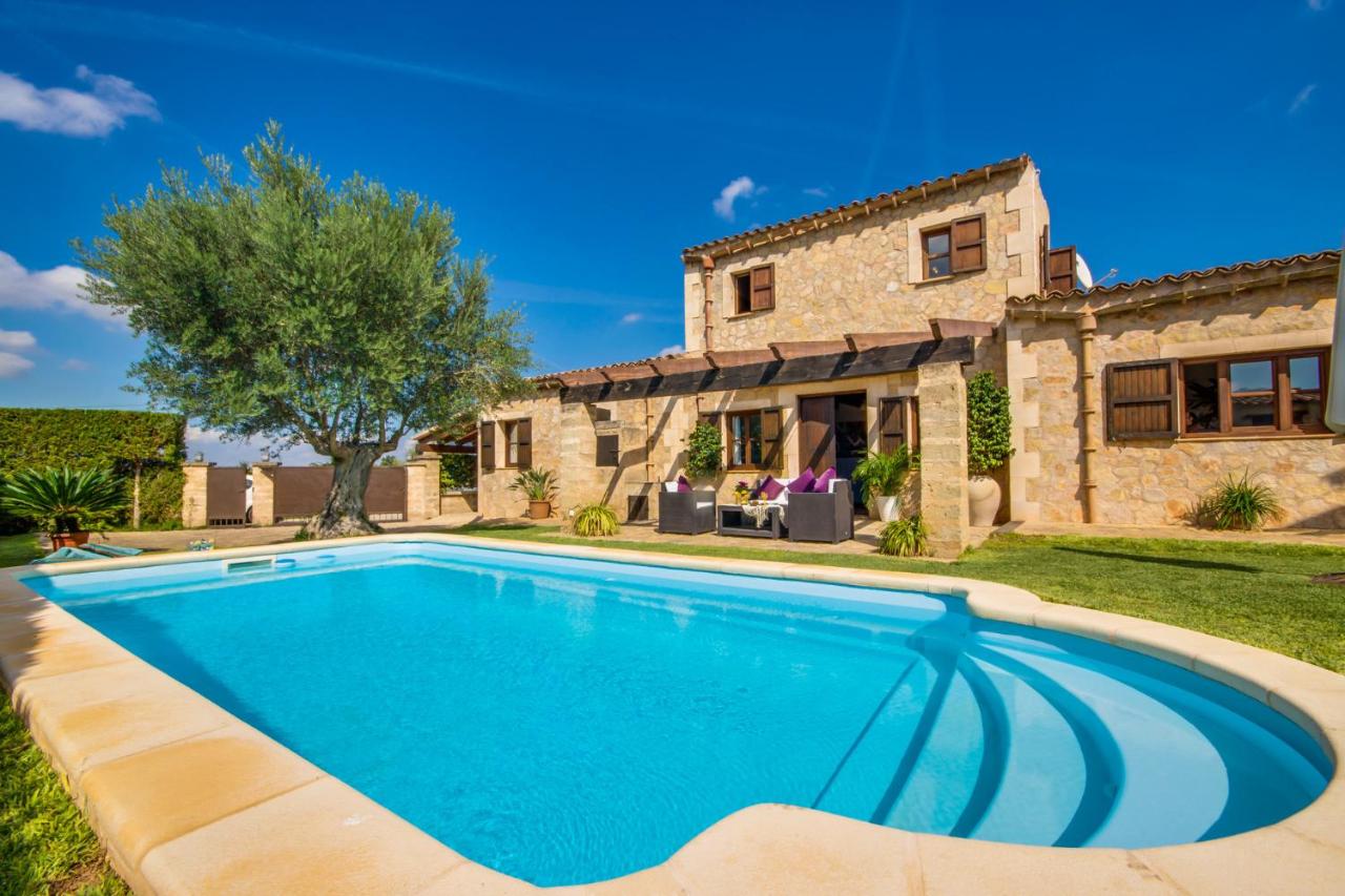 Ideal Property Mallorca - Es Puput - Ferienwohnung