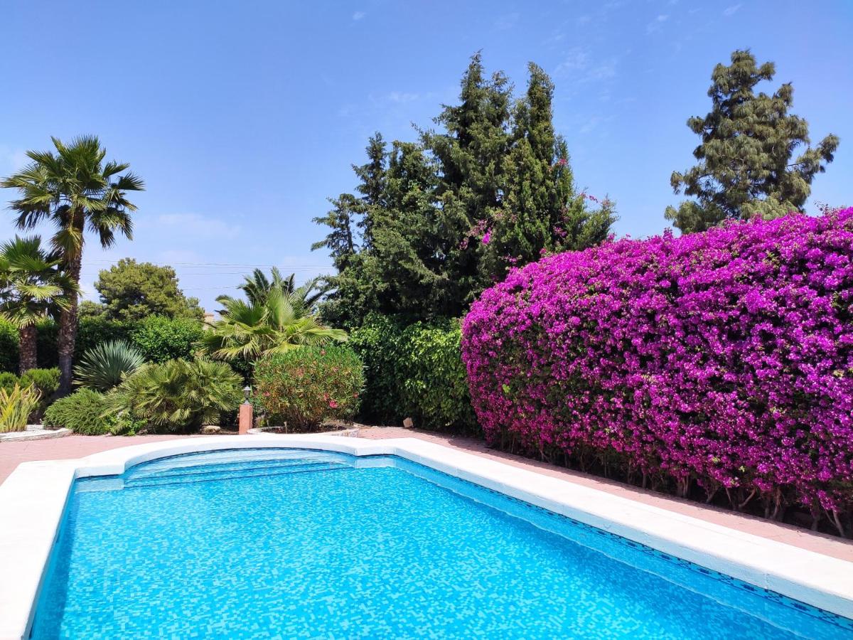 B&B San Vicente del Raspeig - Villa with Private Pool, BBQ, Fitness Center & Sauna - Bed and Breakfast San Vicente del Raspeig