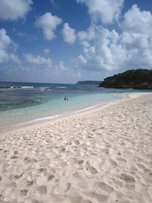 Villa Sous le Manguier-Anse Bertrand 5min plage - B&B