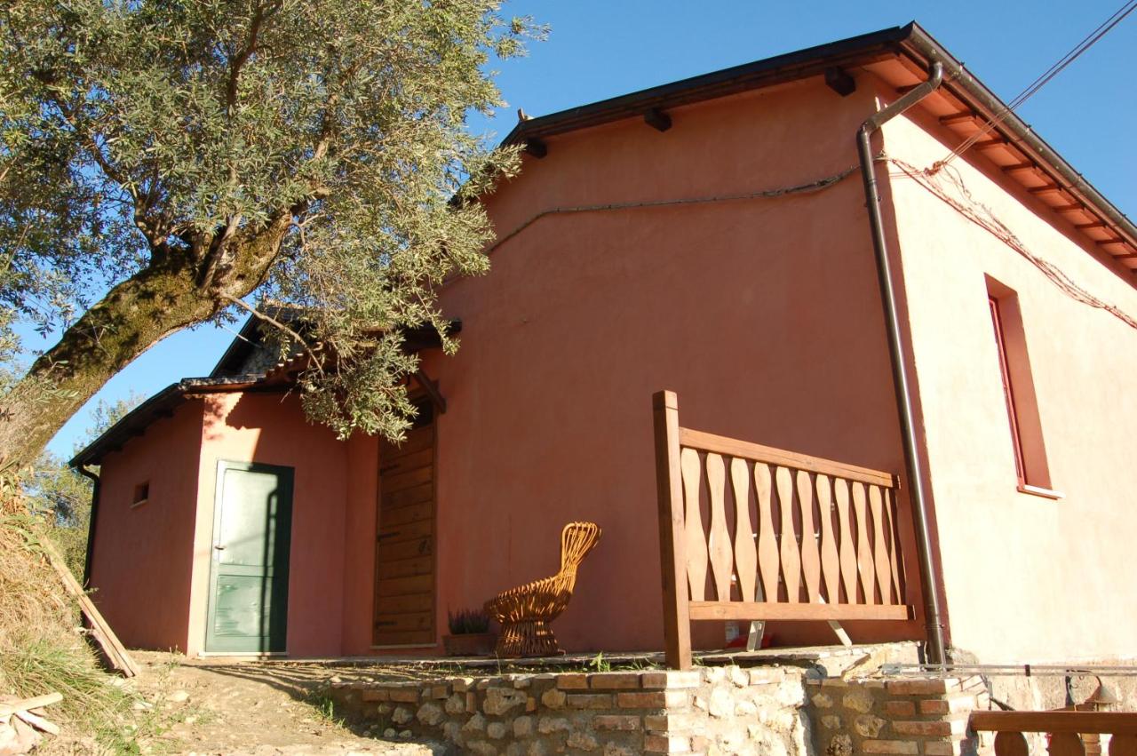 B&B Mompeo - Azienda Agricola Colle Paradiso - Bed and Breakfast Mompeo