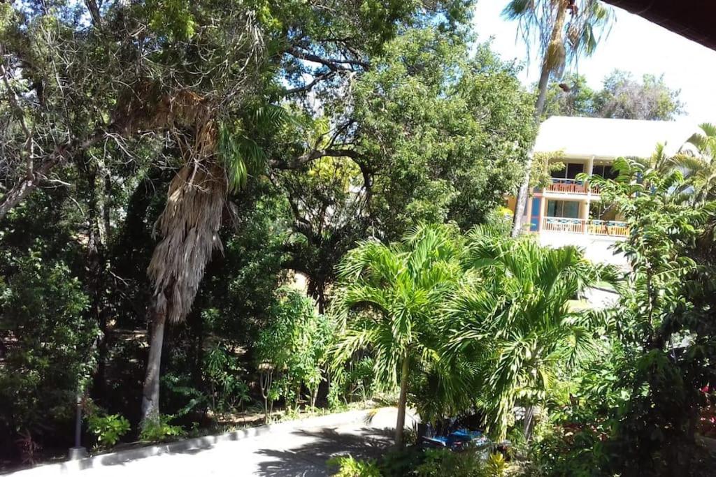 Studio Le Balisier - B&B