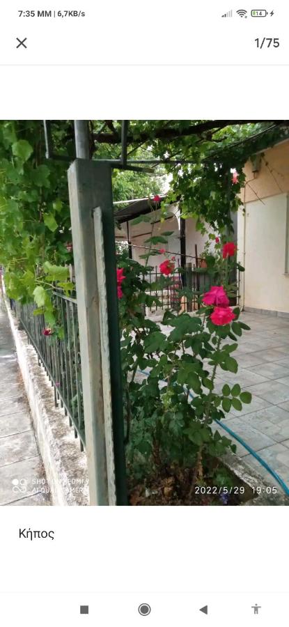 B&B Kilkis - Kolhida home - Bed and Breakfast Kilkis