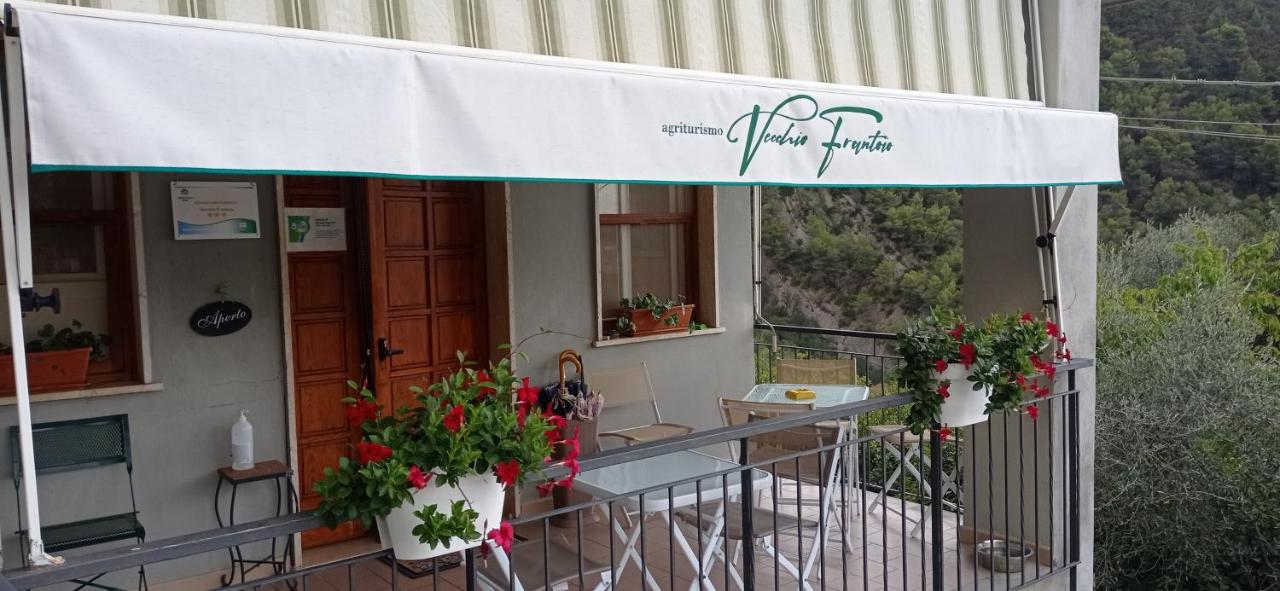 Agriturismo Vecchio Frantoio - B&B Villatella