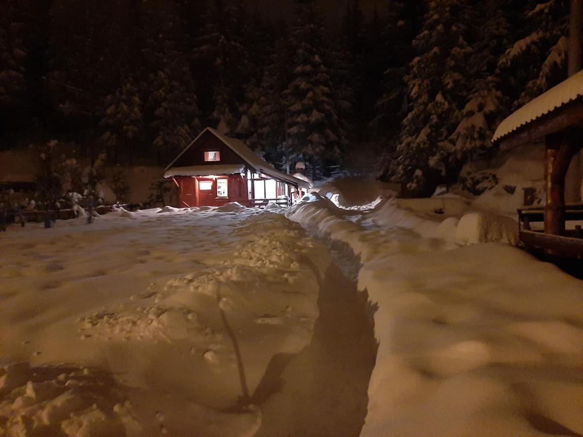 Chalet Woody - Ferienwohnung