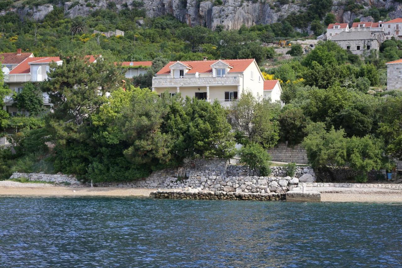 B&B Viganj - Apartments by the sea Viganj, Peljesac - 10116 - Bed and Breakfast Viganj