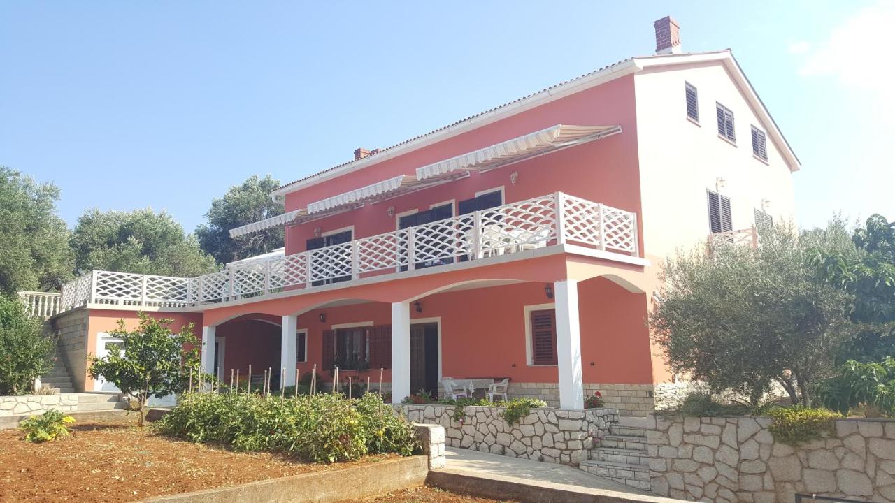 B&B Lun - Apartments by the sea Lun, Pag - 11781 - Bed and Breakfast Lun