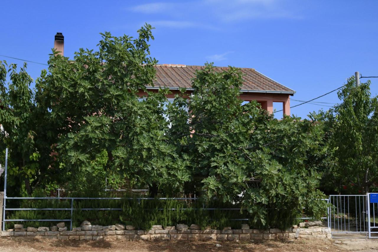 B&B Karin - Apartments by the sea Gornji Karin, Novigrad - 11806 - Bed and Breakfast Karin