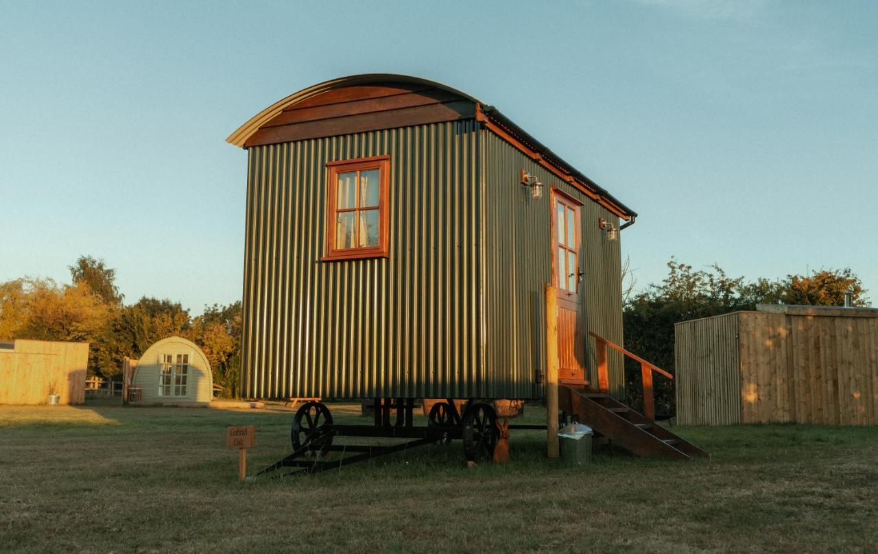 Glamping in Wiltshire in our luxury Shepherds Hut - B&B
