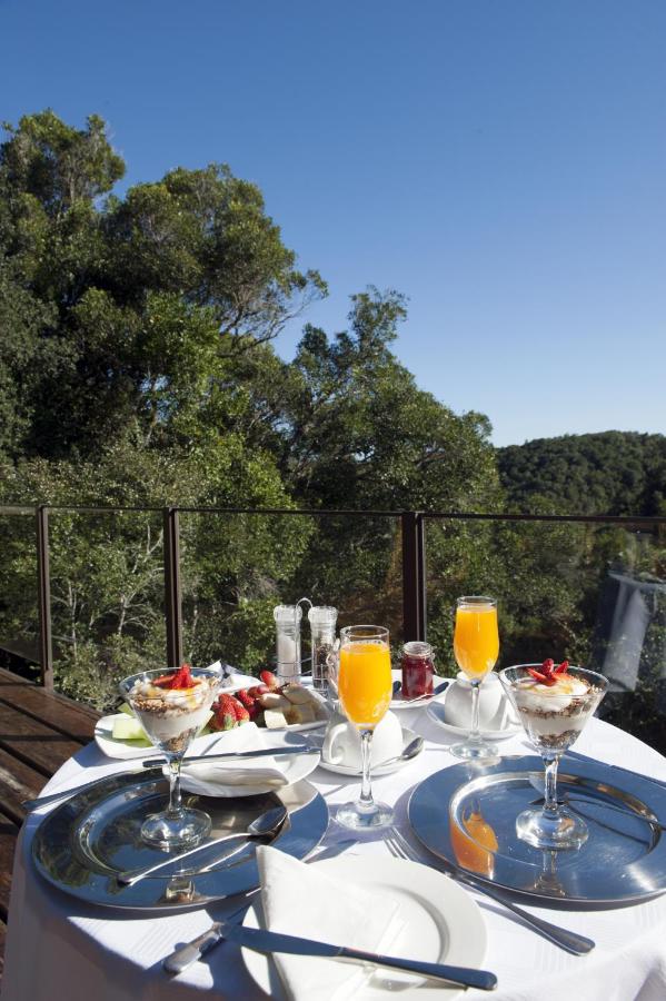 Trogon House and Forest Spa - Bed and Breakfast
