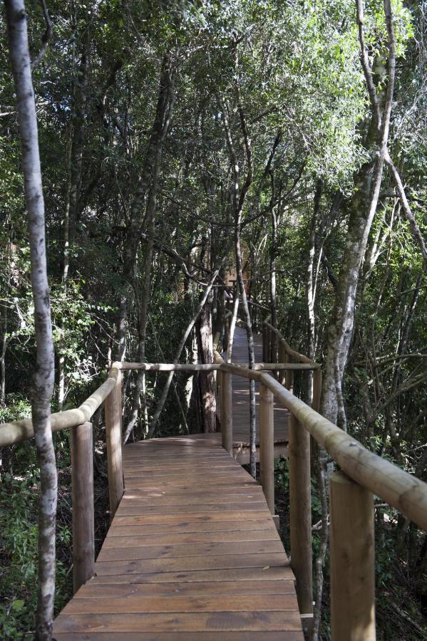 Trogon House and Forest Spa - B&B