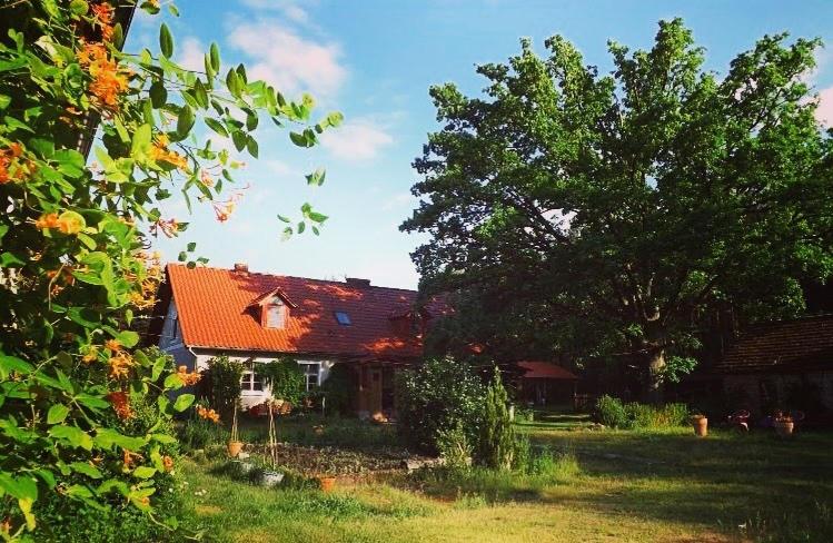 B&B Trzcianka - Agro - Dom Wsrod Lasow - Bed and Breakfast Trzcianka